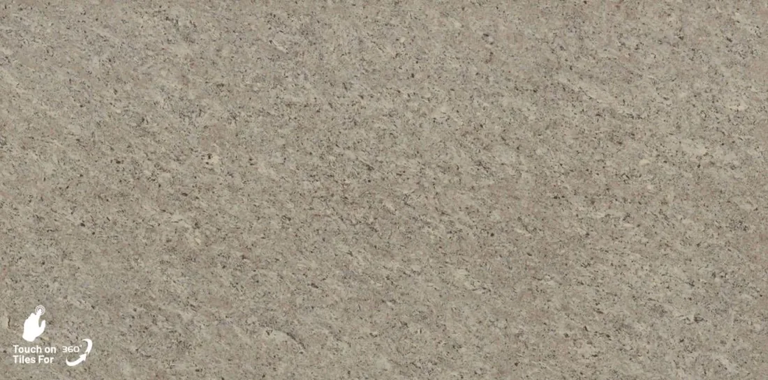Alexa ice fossil