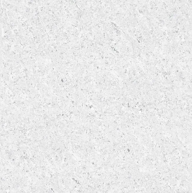 3005